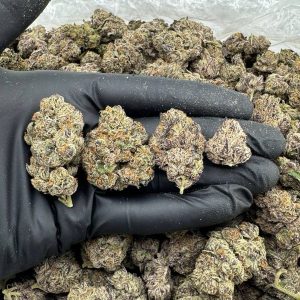 Cherry Glazed Donuts