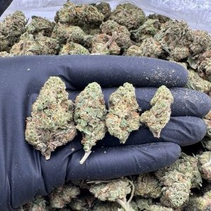 Zig Zag