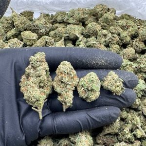 Mule Fuel
