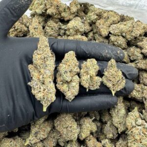 Lemon Cherry Pie