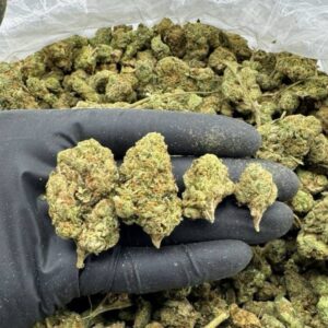 Lemon Cherry Gelato