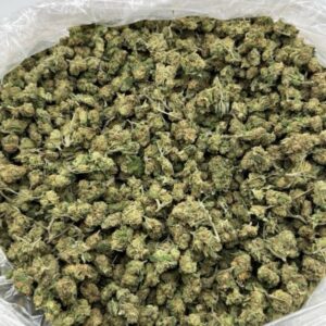 Blueberry Fuego