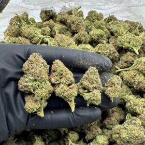 Zookies