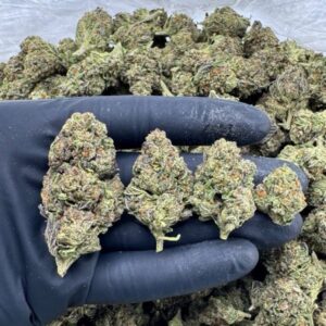 Venom OG