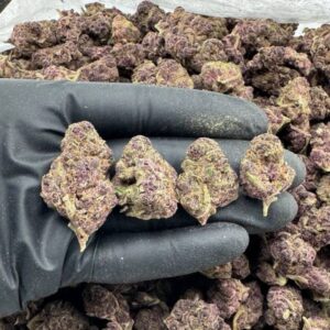 Blackberry Jam