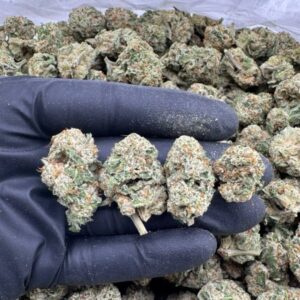 Lemon Candy Gelato