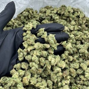 Skunk Gas