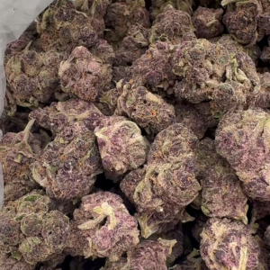 Blueberry Jam