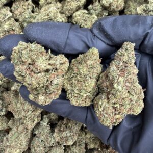 Garlic Cookies 1