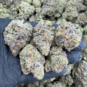 Blue Guava