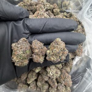 Platinum Lemon