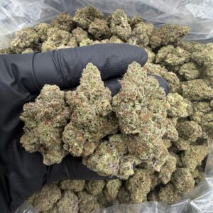 Mix Light AM-PM