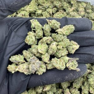 Purple Oreoz