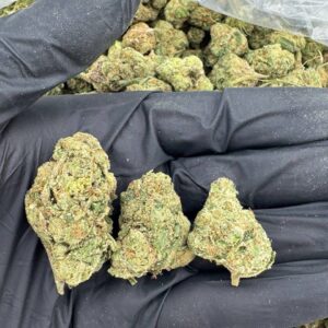 Citrus Flame