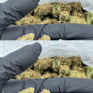 Heavy Hitter