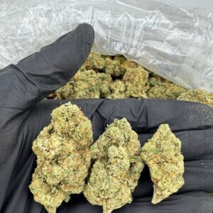 Blueberry Fuel