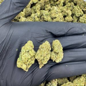 Lemon cherry gelato