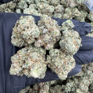 Gorilla Glue