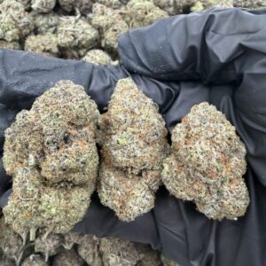Purple Wizard
