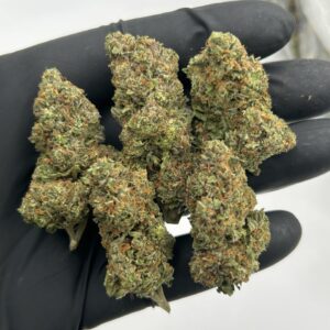 GELATO GAS