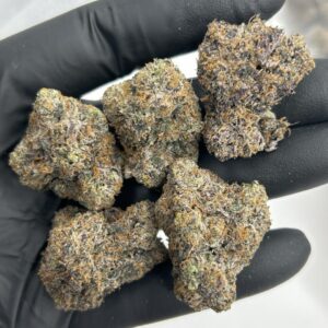 GALACTIC WARHEADS