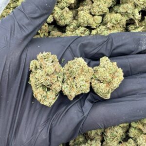 Gasmask Cookies