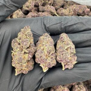 Blueberry Doughnut